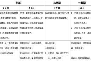 篮球年度训练计划表格